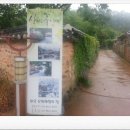 산에는 꽃이피네민박 이미지