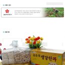 김순주 생강한과