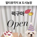 두라농장 이미지