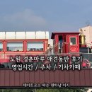 포토시그니처경춘숲길 | 이색카페 추천 공릉 노원경춘마루 애견동반 영업시간 근처 주차