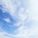 제부도펜션 벚꽃 이미지