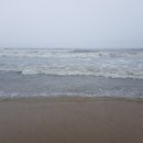 종근당 노동조합 이미지