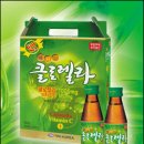 ㈜엽록소 이미지