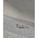 브리앙뜨 이미지