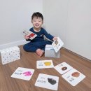 5분 카드 영어 3단계 말하기 - 단어 편 | 우리집 첫 언어교구 아람 코코 낱말카드로 즐기는 진짜 책육아