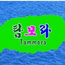 제주바다길 걷기(25.12.2~12.5) 이미지