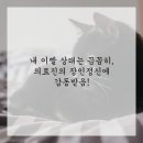 타임의원 이미지