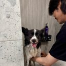 스테이 뭉구 이미지