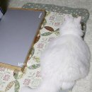 운지하우스 이미지