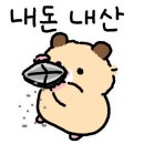 스카이블루 38 이미지