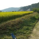 태웅농장 이미지