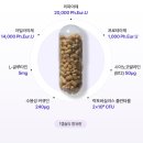 아이누 판크리올 후기 강아지 췌장영양제 소화효소 추천