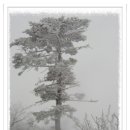 글사랑방 이미지