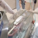 전치 앞(1) 이미지