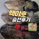써든리 | [선상낚시] 백야호 후기: 제주 심해 갑오징어낚시는 두족류 전문 선사에서 해야지 제주 심해갑오징어...