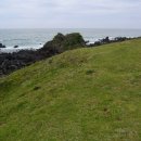 개구리목장 이미지