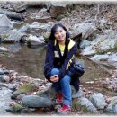 실과 바늘 이미지