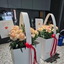 슬로우플라워 - 마포구 잔다리로3안길 44 | 초읍동 꽃집 슬로우플라워 에서 어버이날 카네이션 화분 구입후기