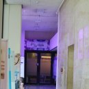 선이고운의원 이미지