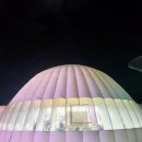 읍시가지 | 함평 겨울빛축제 후기｜아이와 체험 가득한 전남 가볼만한곳