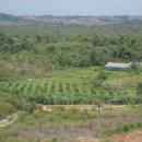 노두농장 이미지