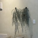 소금맨션 | [울산]부산 근교, 간절곶 숙소 ‘소금맨션’ 재방문 후기!