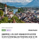 나우플러스투어 | 스위스패키지여행 가성비 가족여행 추천 9일 일정 총정리