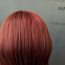 제시 펫 살롱 | 동탄 미용실, 프로페셔널한 케어와 편안함을 동시에 느낀 후기