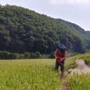 흙내음풀내음 이미지