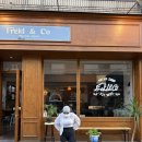 프레클앤코(Frekl&Co.) | 창원러닝 _ 런앤코 ) 프레클앤코 & 티코브