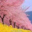 통영우리바다펜션 이미지