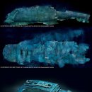 타이타닉 이미지