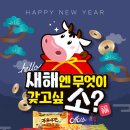 소망제과 데일리안