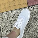 반스스포츠 | 🎁 남동생에게 29cm에서 생일선물로 받은 💙반스 스포츠 로우 파스텔 블루 후기