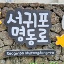 전기차충전소_서귀포매일올레시장 주차장 이미지