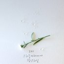 노원-상계-2714 이미지