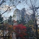 133-금촌2-133 이미지