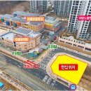 초롱초등학교 앞 횡단보도 이미지