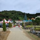 허브아일랜드식물원 | 🌿 포천 허브아일랜드 가족 나들이 후기