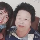 늘푸른노인대학 이미지