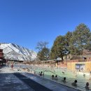 미국 콜로라도 덴버 여행4: 콜로라도 온천 글렌우드 핫스프링스 풀 [Glenwood Hot Springs Pool]