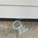 희망의집 | [K2 Safety][한국해비타트] TEAM K2 Safety 희망의 집짓기 봉사활동 후기