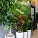 진천크라운스크린골프 이미지