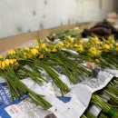 화림농장 이미지