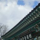 담양 사슴농원 | 국내 2박3일 여행(전주, 담양, 광주, 순천)