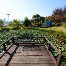 들꽃향기머무는곳 이미지