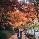 홈플러스(주)방학점 이미지