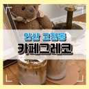 곰돌이맛집 | [안산 고잔동] 곰돌이 가득한 모래사막 라테 맛집 고잔동 카페 그레코 솔직 후기