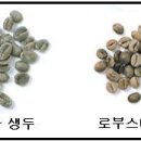 2. 커피의 분류 (참고: 바움스 커피-www.baumscoffee.co.kr) 이미지
