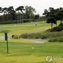 센텀부동산중개 이미지